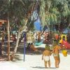 Due bambini camminano in un parco giochi sulla spiaggia, circondato da alberi.