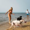 Coppia e due cani corrono sulla spiaggia vicino al mare.