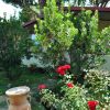 Giardino con cespuglio di fiori rossi e una casetta sullo sfondo.