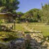 Giardino con vialetto e stagno.