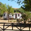 Una casa mobile bianca con tetto rosso, circondata da alberi e un recinto di legno.