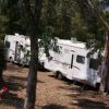 Due camper bianchi parcheggiati tra alberi in un'area verde.
