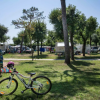 Bicicletta in un campeggio verde con camper e roulotte.